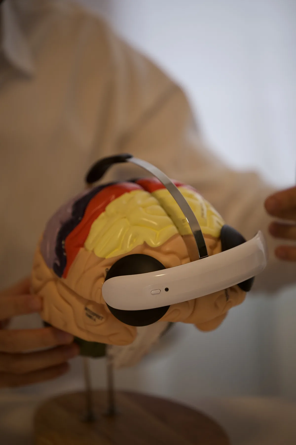 Flow-Headset zur Gleichstromstimulation an einem anatomischen Gehirnmodell